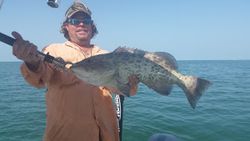 Florida Fishing for Grouper